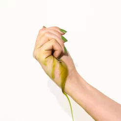 Biologi By Blackberry Seed Oil 30ml 9 Biologi By Blackberry Seed Oil 30ml -Hair Care Store Biologi BY Blackberry Seed Oil 30ml 2