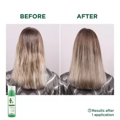 Klorane Nettle Dry Shampoo 150ml - Oily Hair -Hair Care Store Klorane DS Nettle 4