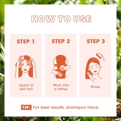 Klorane Anti-dandruff Rebalancing Shampoo With Galangal & AHA 400ml 13 Klorane Anti-dandruff Rebalancing Shampoo With Galangal & AHA 400ml -Hair Care Store P0002244 6