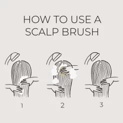 Apotecari 5-in-1 Scalp & Shampoo Brush -Hair Care Store apotecari scalp brush 3