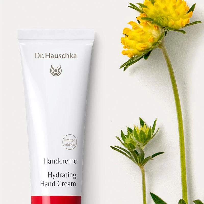 Dr. Hauschka Limited Edition Hydrating Hand Cream 30ml 2 Dr. Hauschka Limited Edition Hydrating Hand Cream 30ml - Image 2