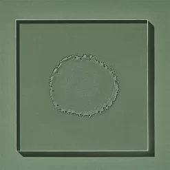 Edible Beauty No. 2 Citrus Rhapsody Toner Mist 100ml -Hair Care Store edible beauty no. 2 citrus rhapsody toner mist 3 1