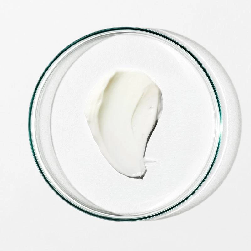 Grown Alchemist Age-Repair Intensive Moisturiser: White Tea Extract, Phyto-Peptide 40ml 4 Grown Alchemist Age-Repair Intensive Moisturiser: White Tea Extract, Phyto-Peptide 40ml - Image 4