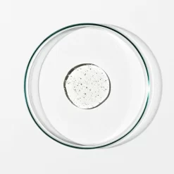 Grown Alchemist Body Cleanser: Chamomile, Bergamot, Rose 500ml -Hair Care Store ga body cleanser 2